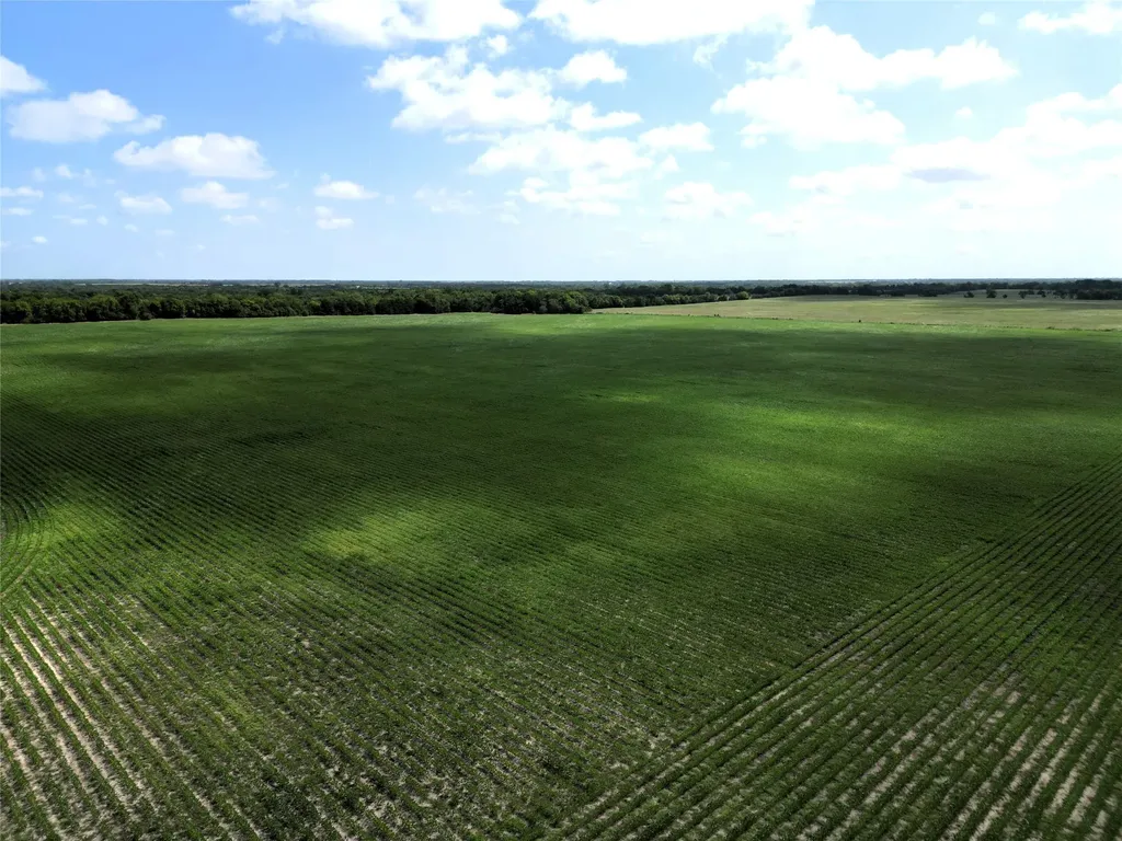48AC Cr 2165 Klondike TX 75440