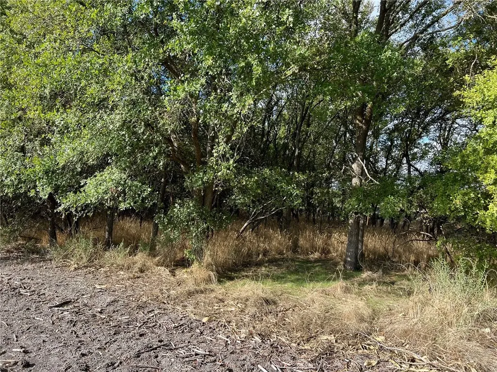 Tbd Cr 117 Road Rogers TX 76569