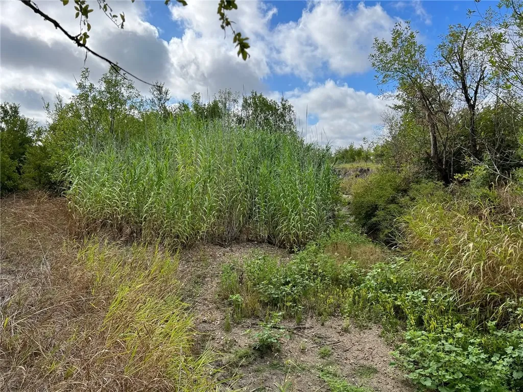 Tbd Cr 117 Road Rogers TX 76569