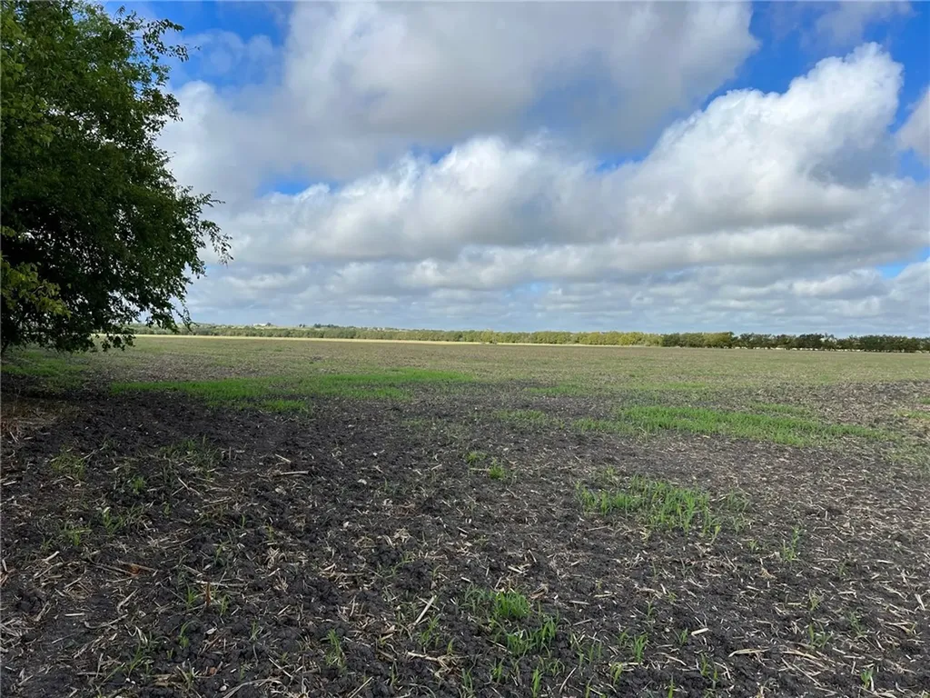 Tbd Cr 117 Road Rogers TX 76569