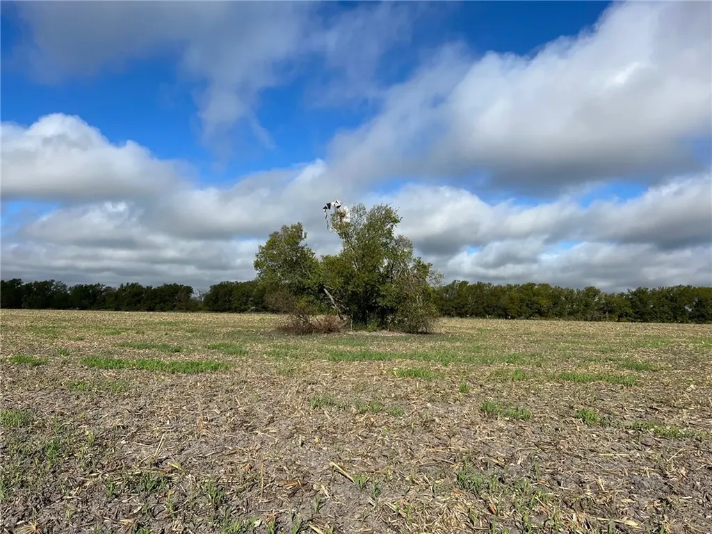 Tbd Cr 117 Road Rogers TX 76569