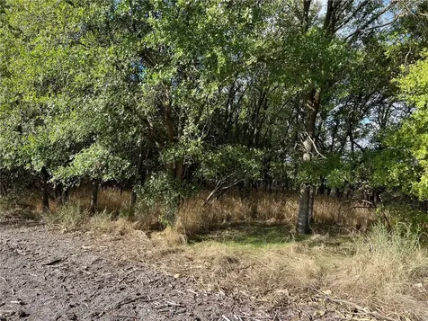Tbd Cr 117 Road Rogers TX 76569
