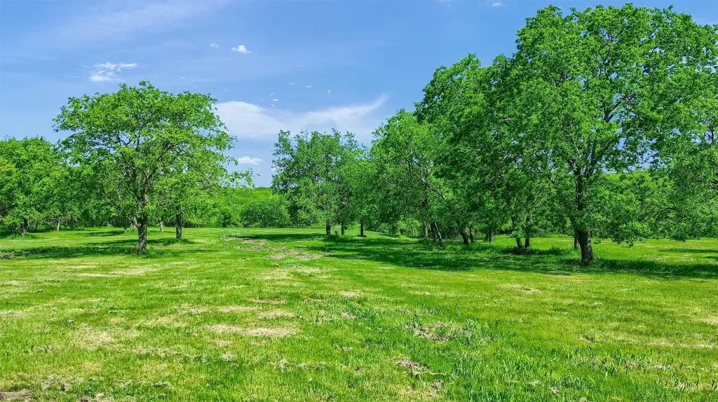 695 Mackey Road Gunter TX 75058