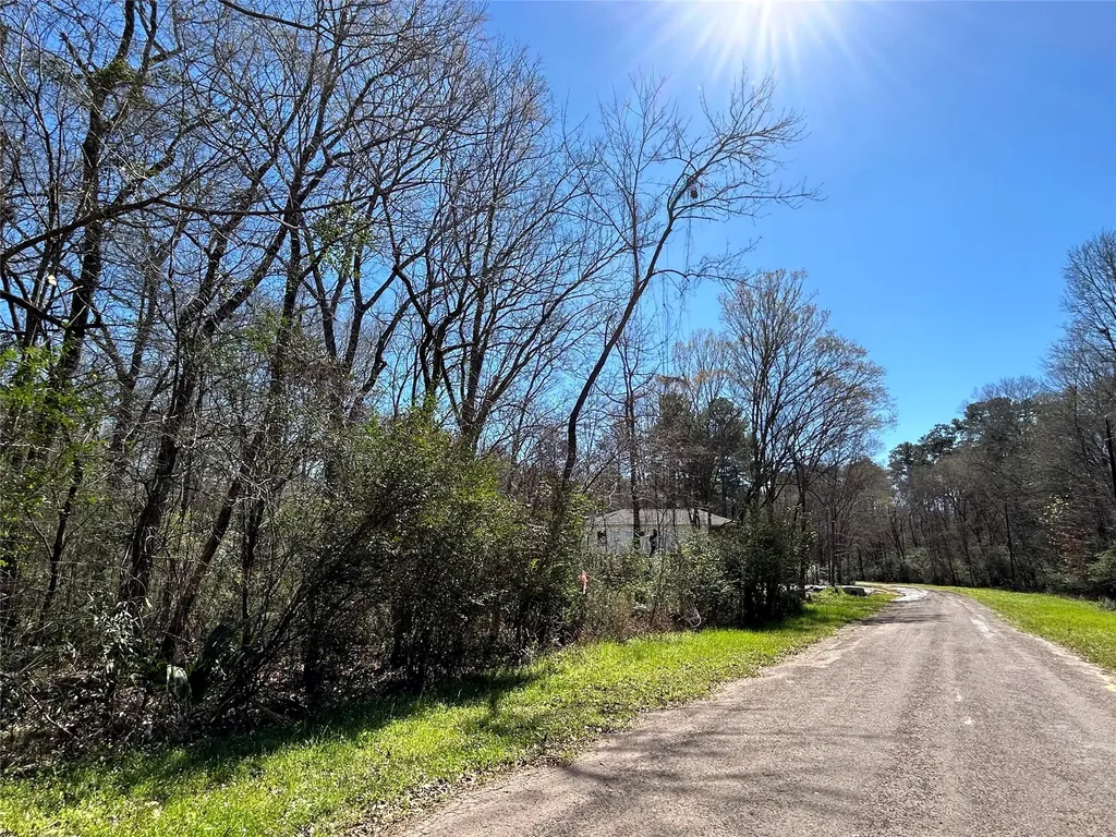 0 Royal Crk Road Willis TX 77303