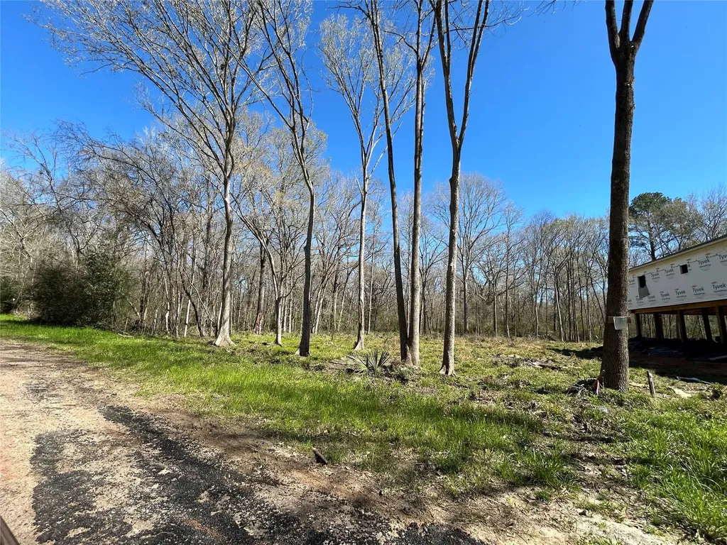 0 Royal Crk Road Willis TX 77303