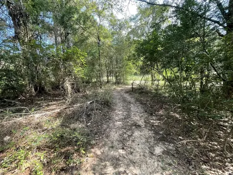 16399 N Us Highway 287 Tennessee Colony TX 75861