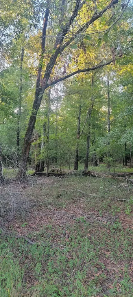 TBD-1 Fm 2517 Carthage TX 75633