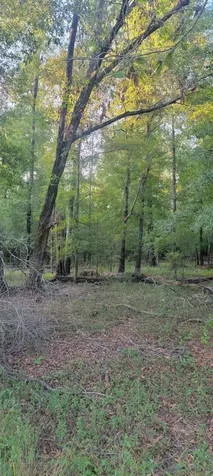 TBD-1 Fm 2517 Carthage TX 75633