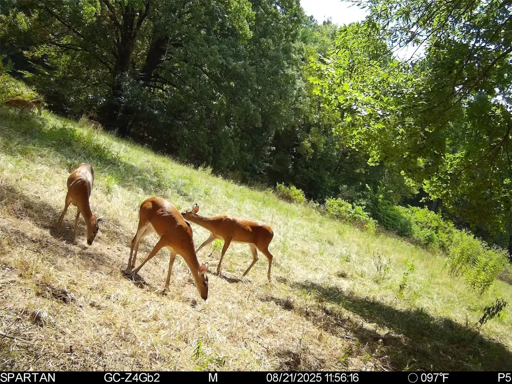 0 County Road 2592 Marietta TX 75568