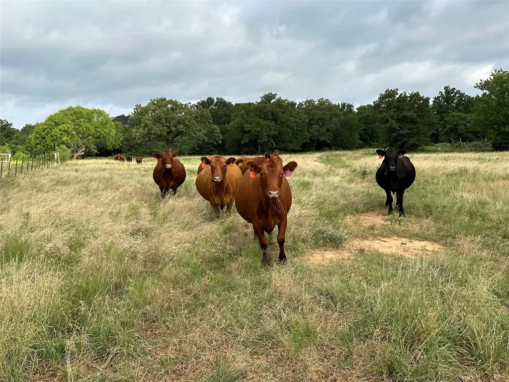 6551 Crooked Creek Road Bowie TX 76230