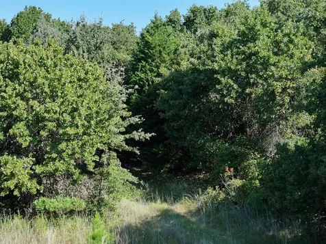 Tbd Cr 935 Teague TX 75860