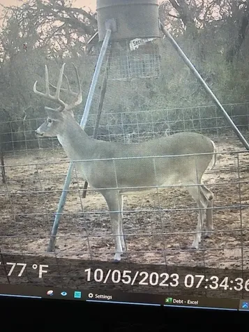 1861 Fm 1974 Graham TX 76450
