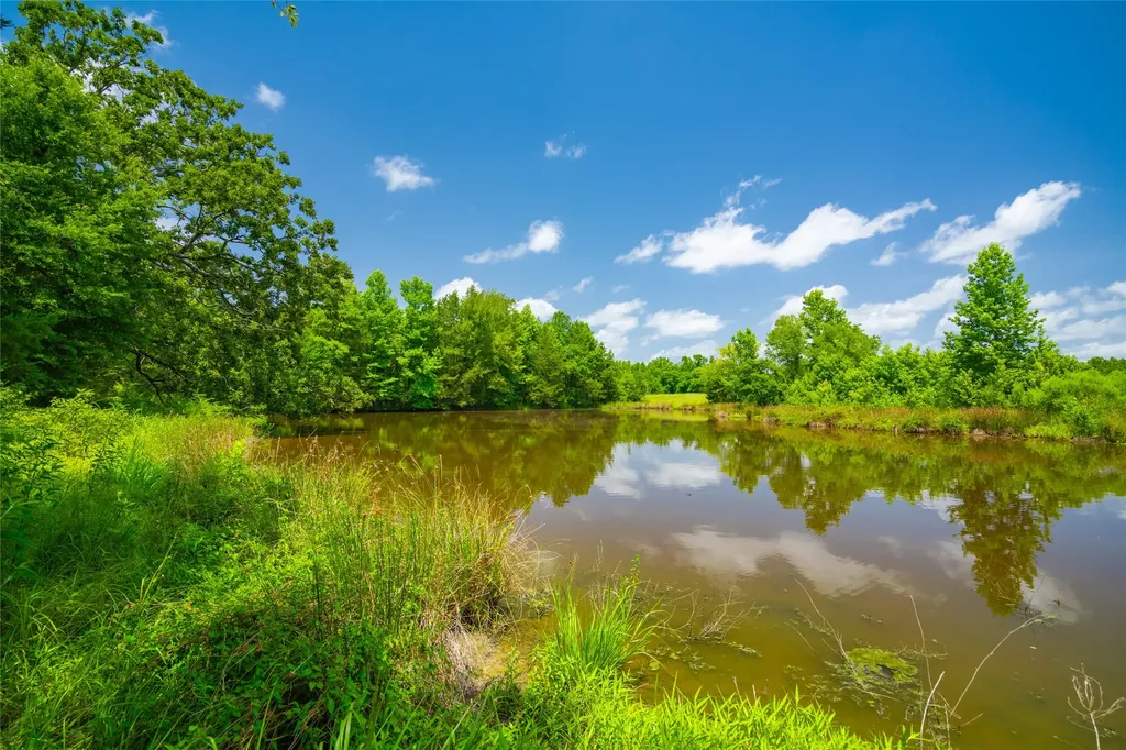 0 County Road 3311 Omaha TX 75571