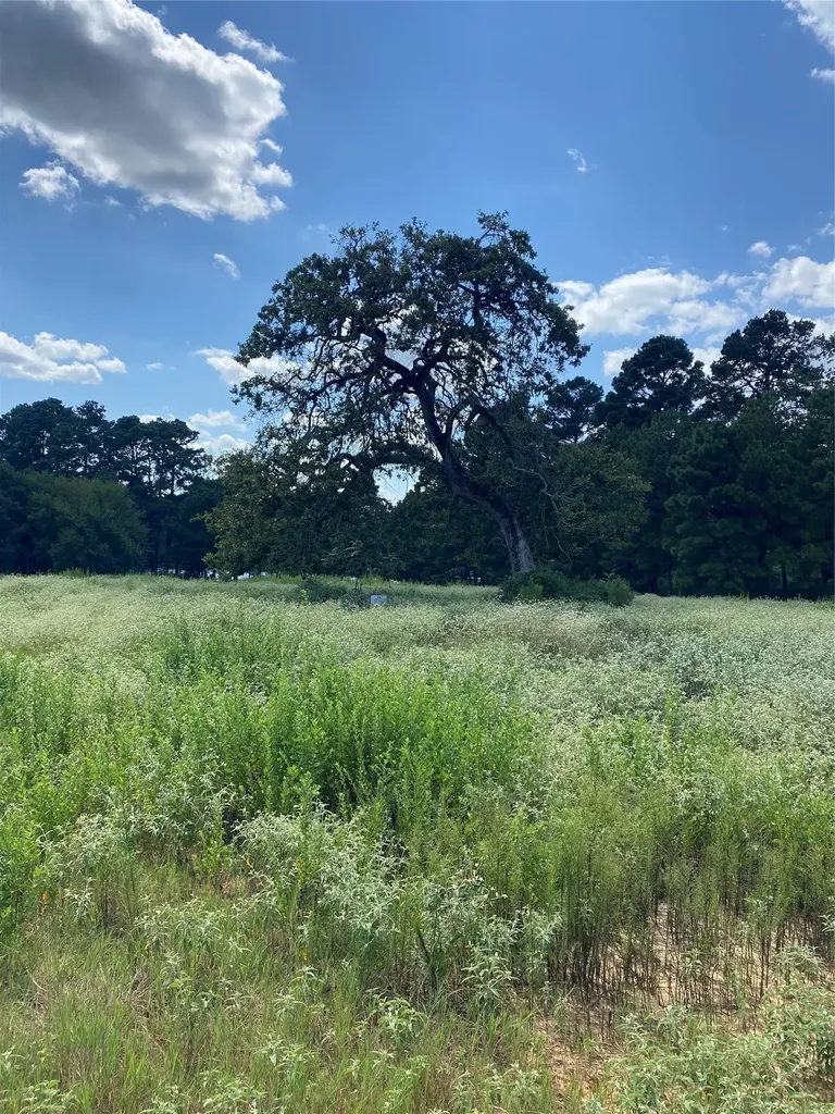 Tr 108 Pr 1314 Centerville TX 75833