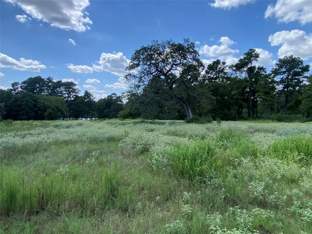 Tr 108 Pr 1314 Centerville TX 75833