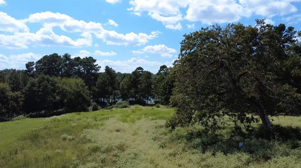 Tr 108 Pr 1314 Centerville TX 75833