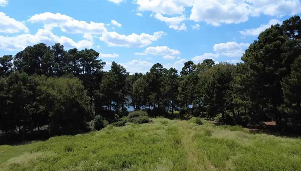 Tr 108 Pr 1314 Centerville TX 75833