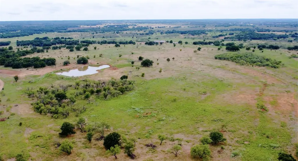 46.86 Acres Stewart Ranch Road Loving TX 76460