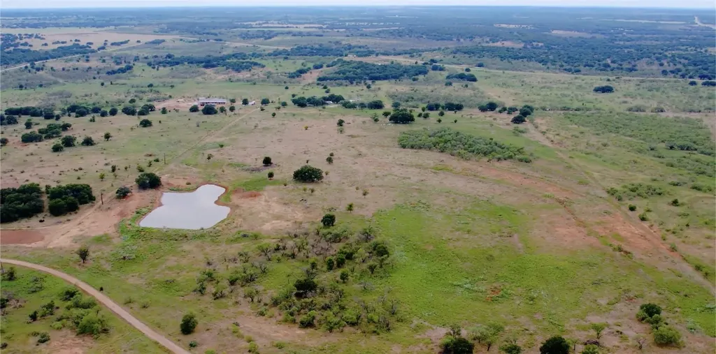 46.86 Acres Stewart Ranch Road Loving TX 76460