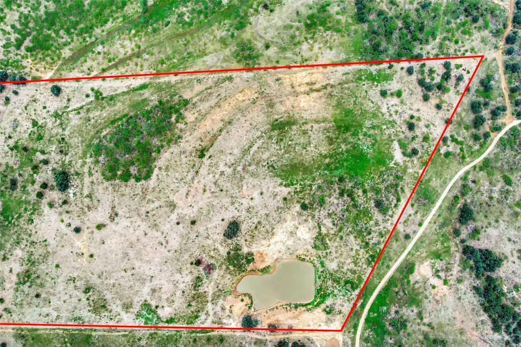 46.86 Acres Stewart Ranch Road Loving TX 76460