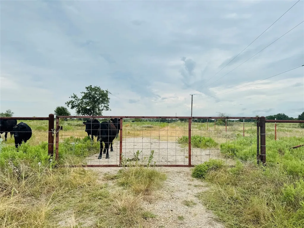 46.86 Acres Stewart Ranch Road Loving TX 76460