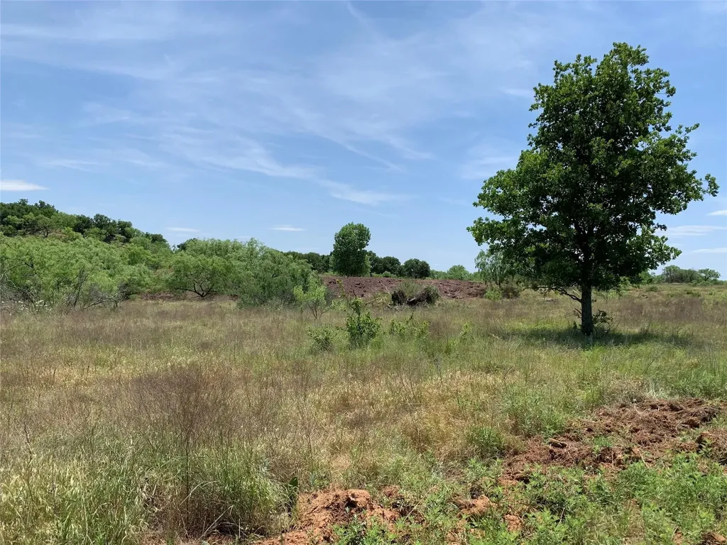 46.86 Acres Stewart Ranch Road Loving TX 76460