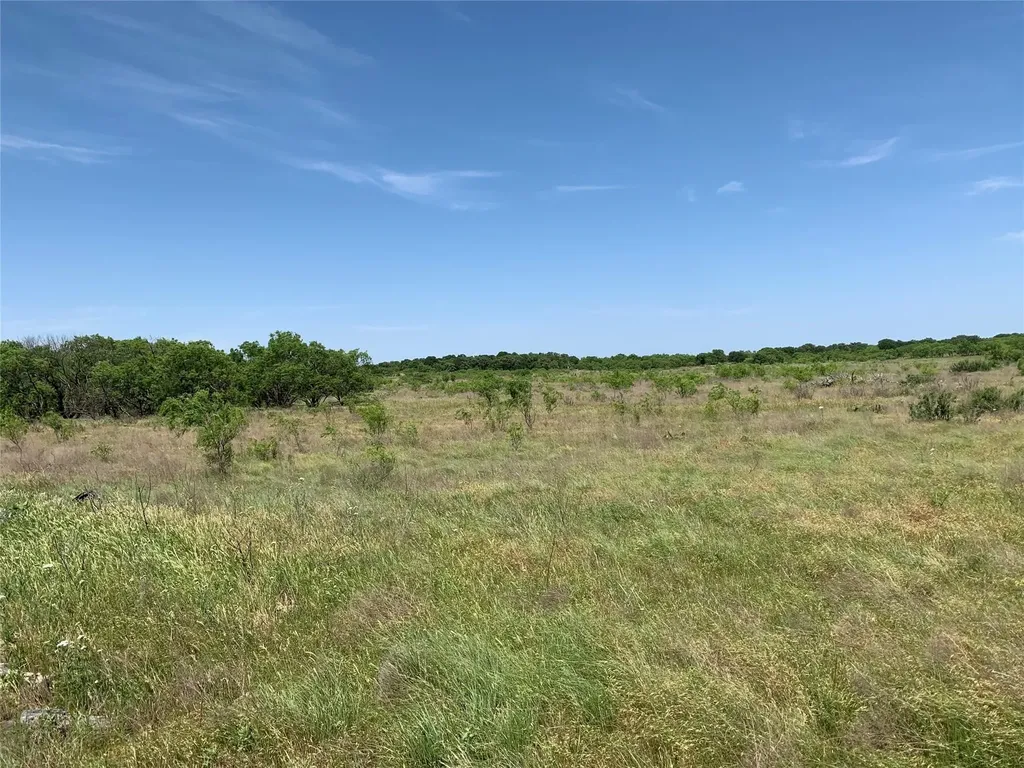 46.86 Acres Stewart Ranch Road Loving TX 76460