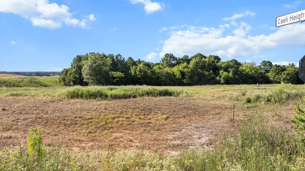 17109 Lux Mundi Lot 28 Winona TX 75792