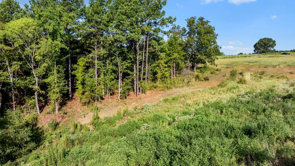 17109 Lux Mundi Lot 28 Winona TX 75792