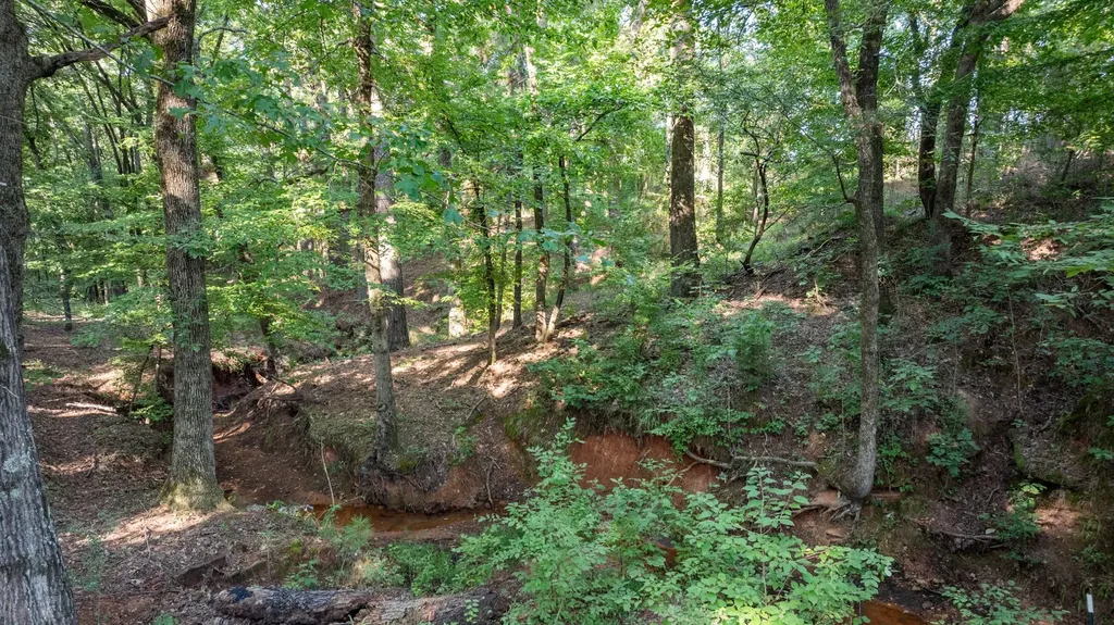 17109 Lux Mundi Lot 28 Winona TX 75792
