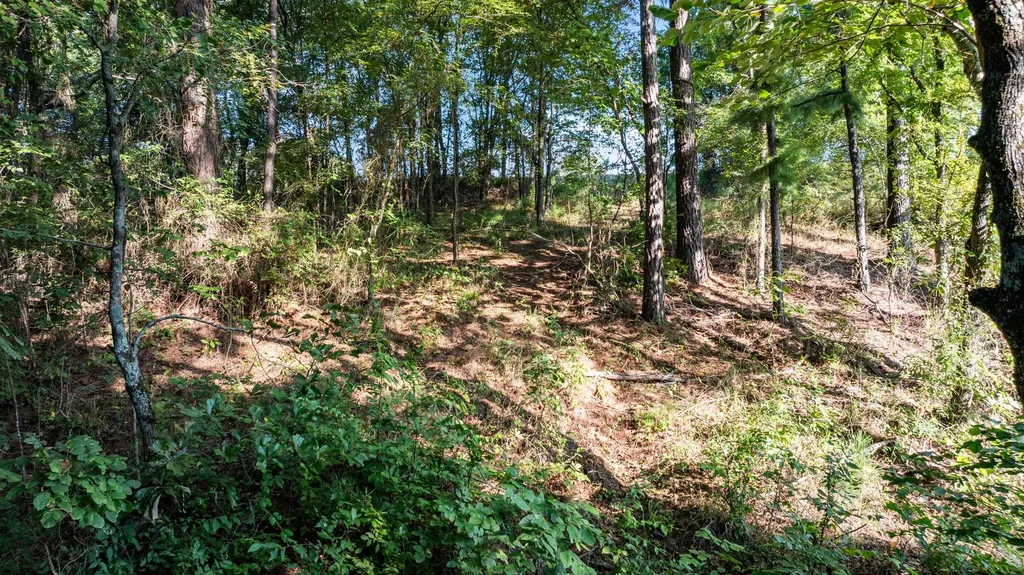 17109 Lux Mundi Lot 28 Winona TX 75792