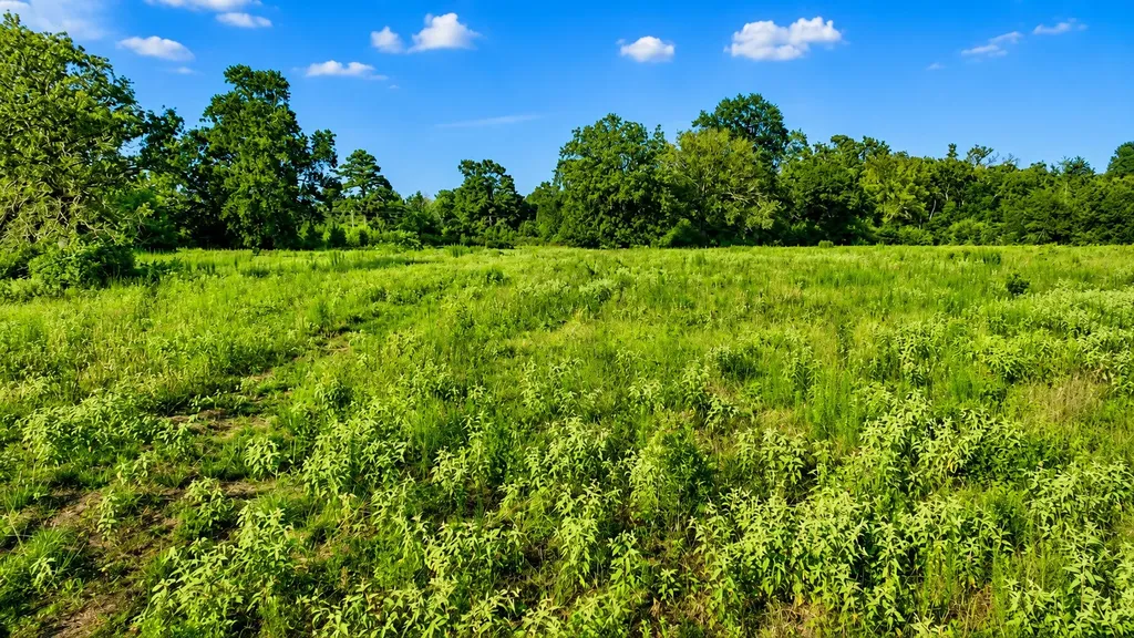 Tbd Cr 114 Centerville TX 75833