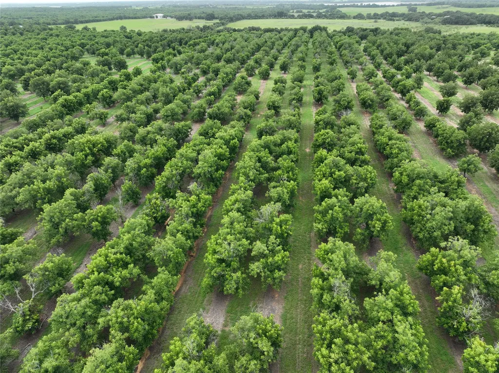 Tbd Cr 424 Comanche TX 76442