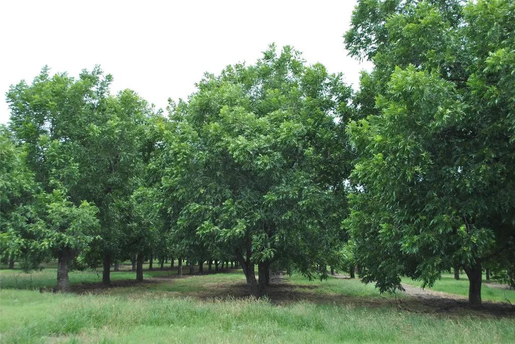 Tbd Cr 424 Comanche TX 76442