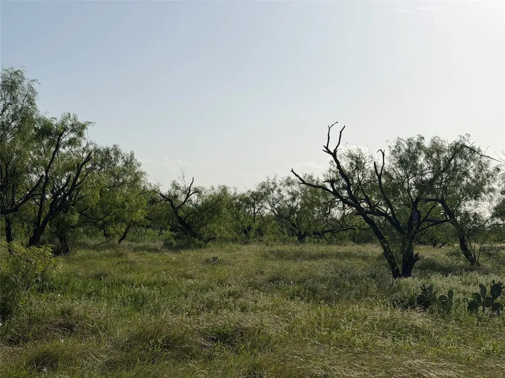 Tbd Comanche Hills Drive Comanche TX 76442
