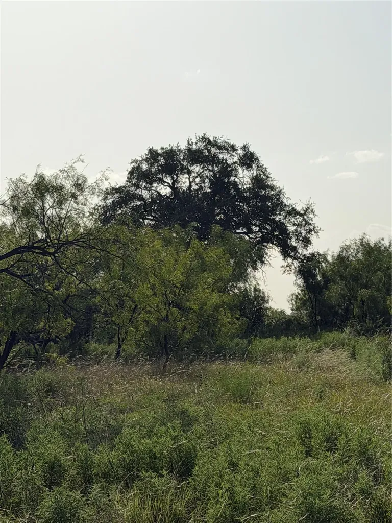 Tbd Comanche Hills Drive Comanche TX 76442