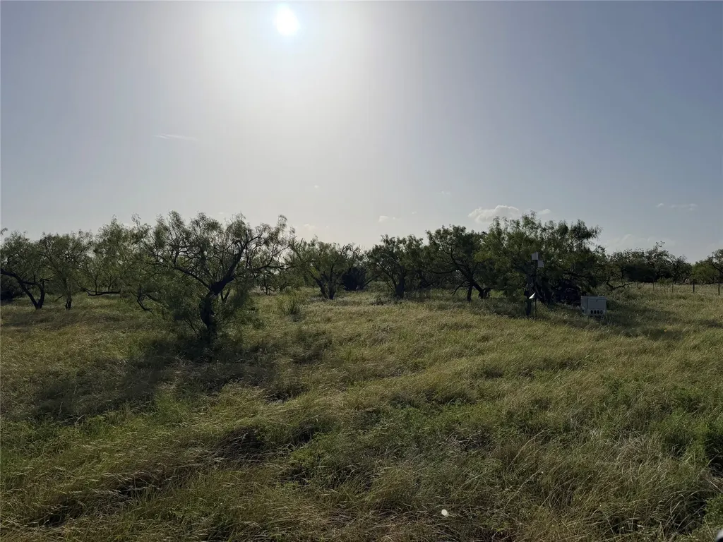 Tbd Comanche Hills Drive Comanche TX 76442