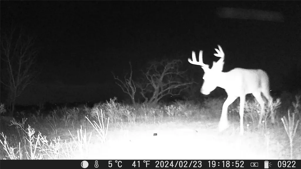 Tbd Comanche Hills Drive Comanche TX 76442