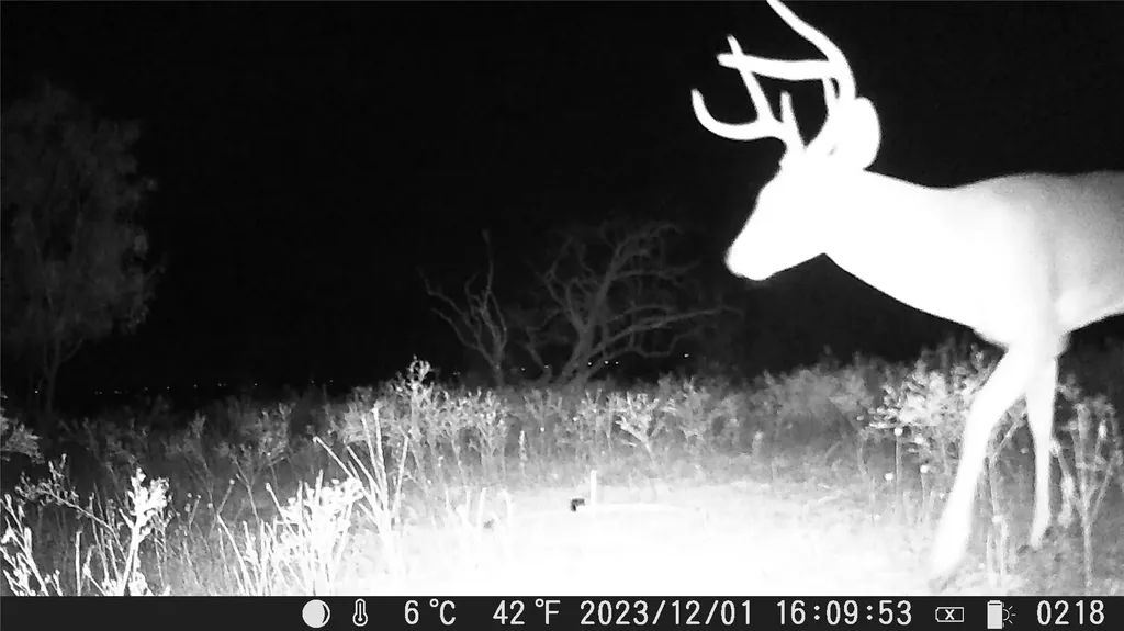 Tbd Comanche Hills Drive Comanche TX 76442