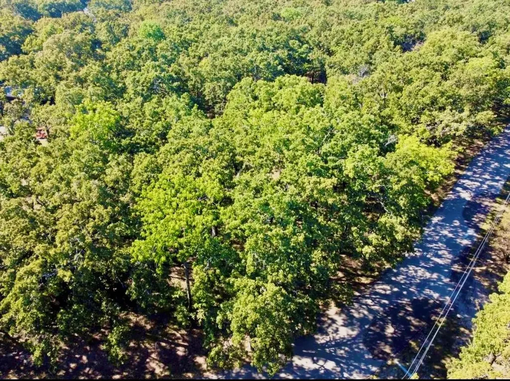 804 Trosper Trace Quinlan TX 75474