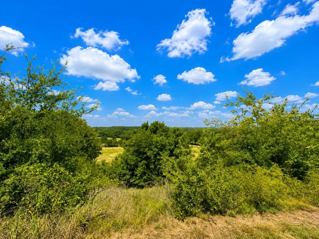 148 County Road 2627 Decatur TX 76234