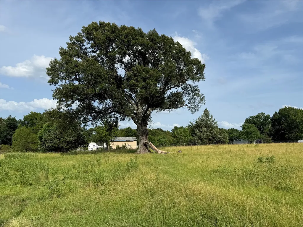 13658 Woodridge Eustace TX 75124