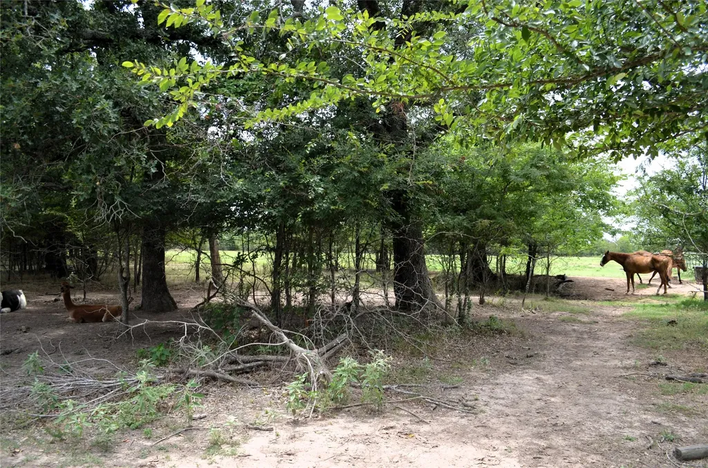 34302 Fm 47 Mabank TX 75147