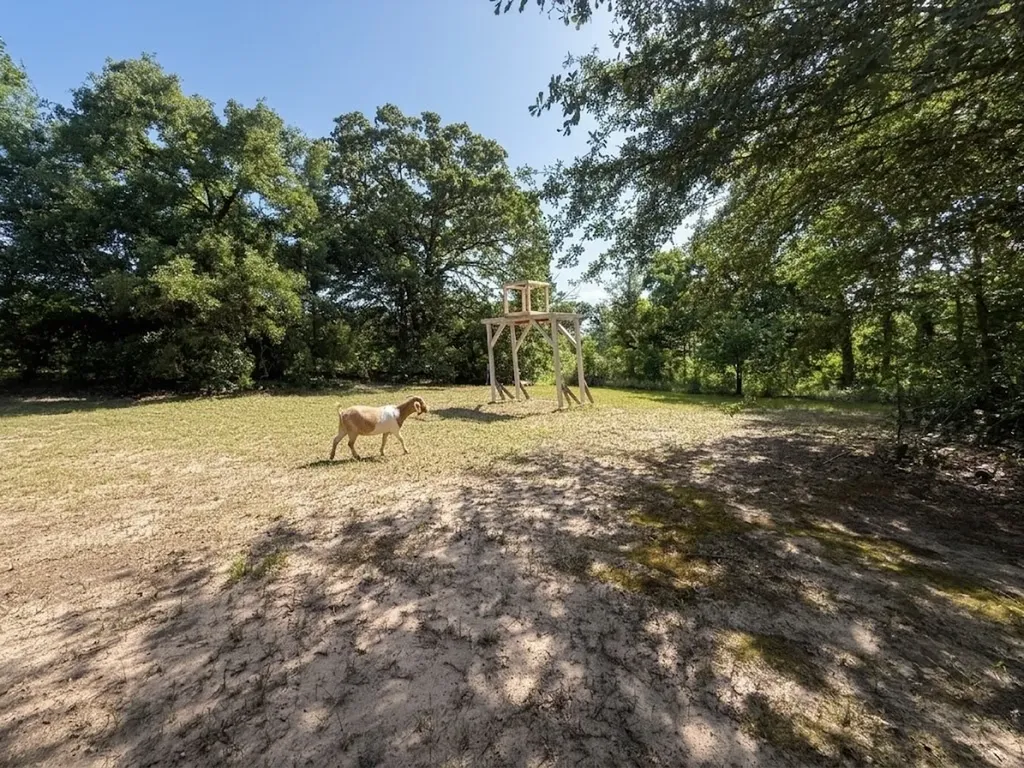 10976 Us Highway 80 Fruitvale TX 75127