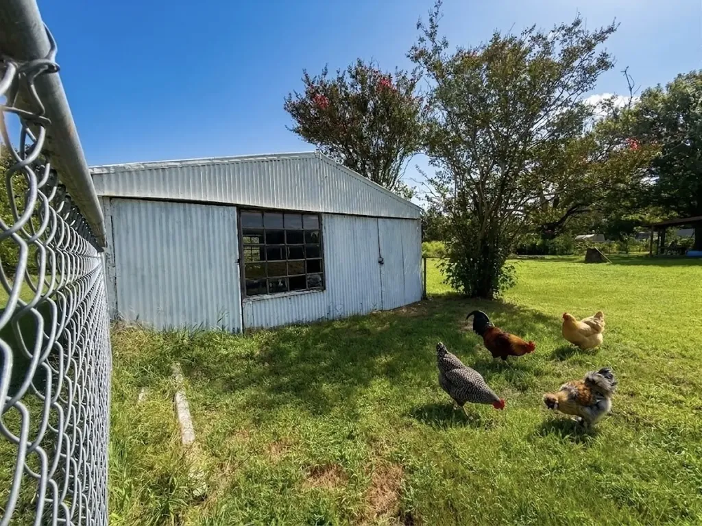 10976 Us Highway 80 Fruitvale TX 75127
