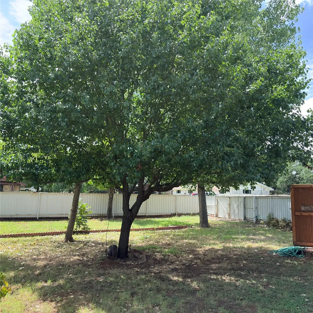 3103 N Oak Avenue Mineral Wells TX 76067