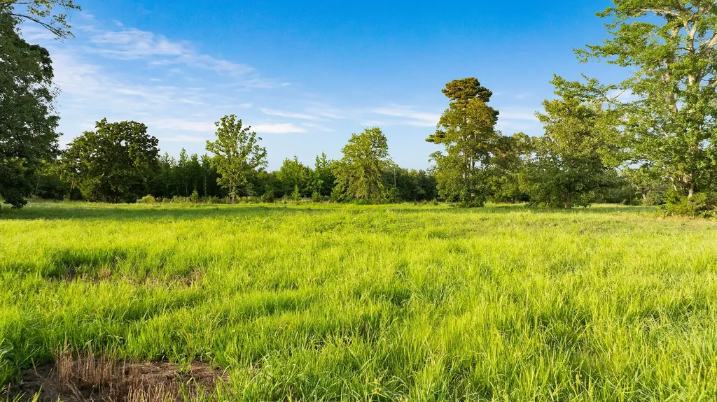 Tract A County Road 43200 Powderly TX 75473