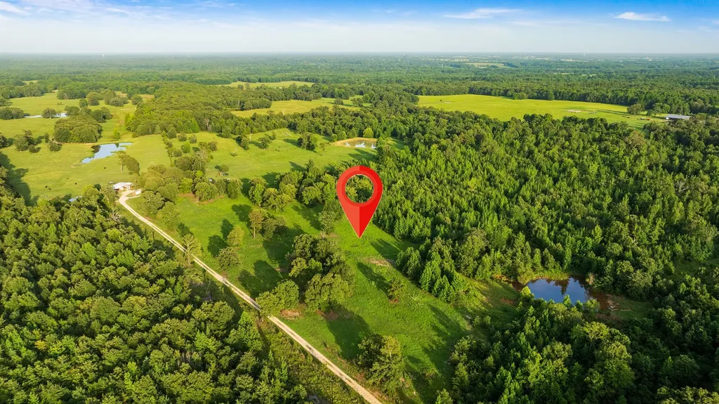 Tract A County Road 43200 Powderly TX 75473