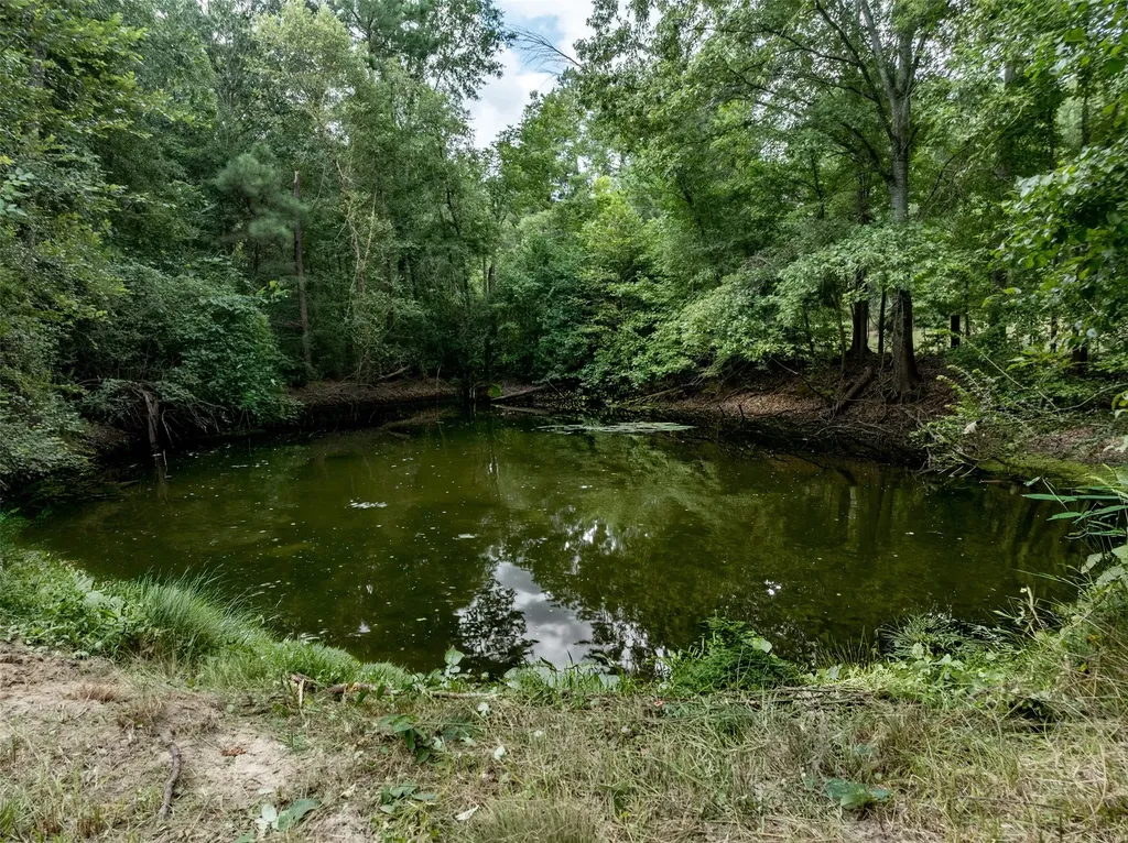 6841 State Highway 154 E Gilmer TX 75645