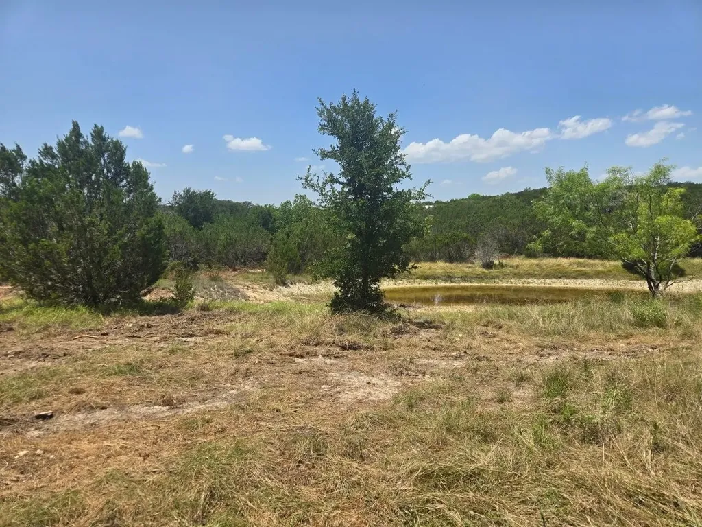 Tbd Lighthouse Drive Bluff Dale TX 76433